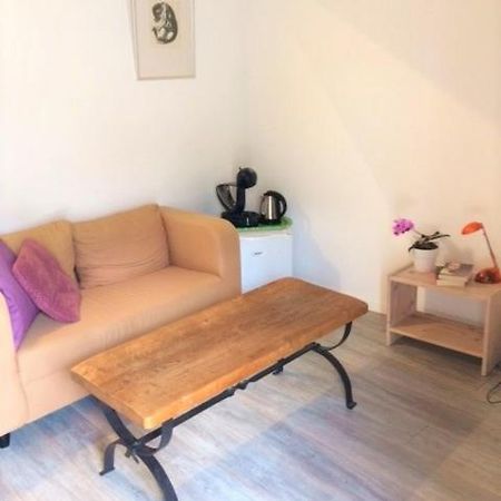 Prune D'Ente - B&B Las Coussoulesses Anthé Exteriör bild